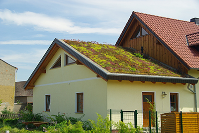 Gründach - green roof 02